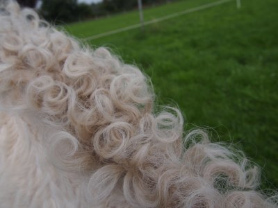 Holiday house Farm - Environment photo 32