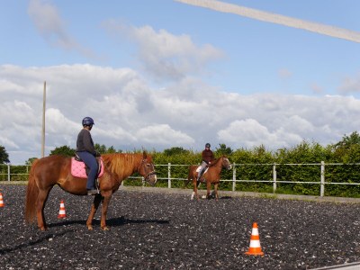 Holiday house Farm - Environment photo 35