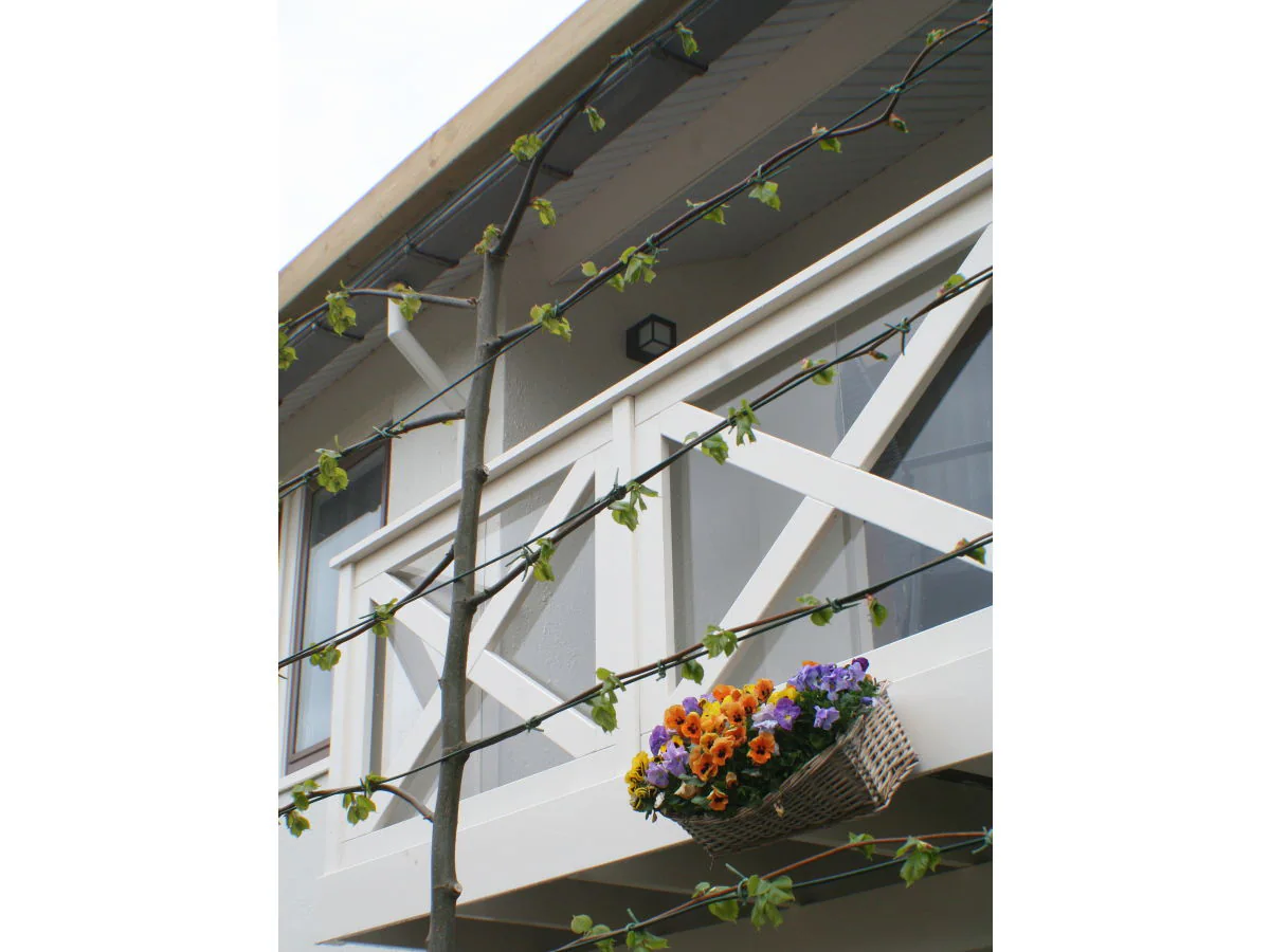 Apartment Ewout van Dishoeckstraat 9/11 - Outdoor photo 3