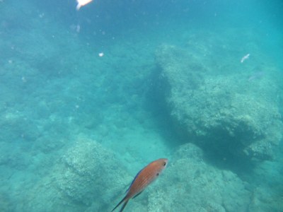 Holiday apartment hoops - Environment photo 13