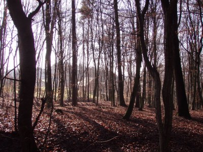 Holiday house Karla Estate's "Monga" - Environment photo 19