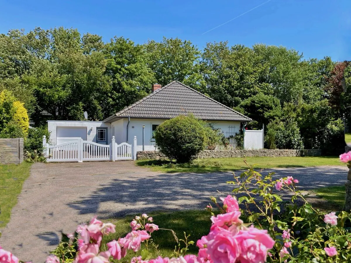 Holiday house Haus Ackerpflanze