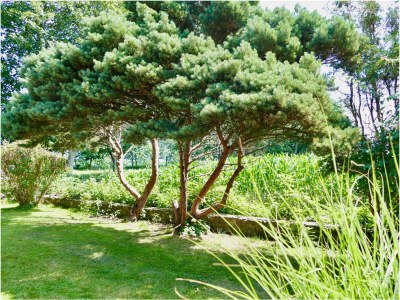 Holiday house Haus Ackerpflanze - Outdoor photo 10