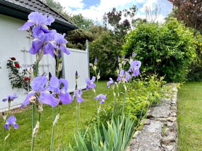 Holiday house Haus Ackerpflanze - Outdoor photo 12