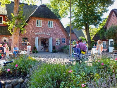 Holiday house Haus Ackerpflanze - Environment photo 35