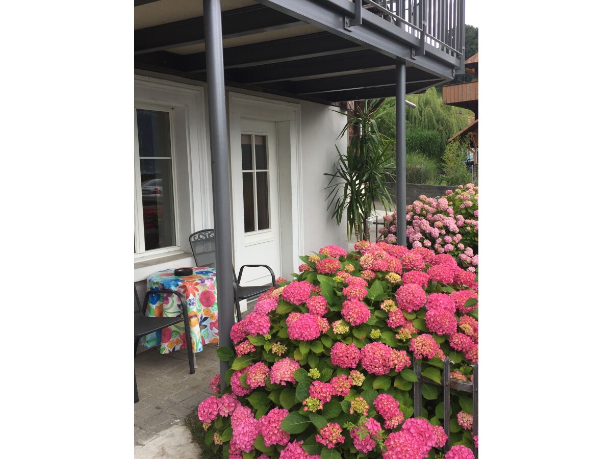 Holiday apartment Haus am See II - Outdoor photo 4