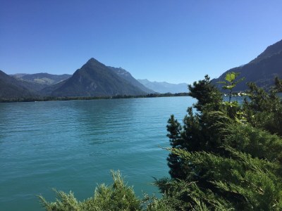 Holiday apartment Haus am See II - Outdoor photo 10