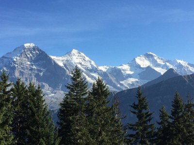 Holiday apartment Haus am See II - Environment photo 25