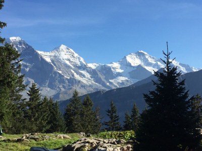 Holiday apartment Haus am See II - Environment photo 26