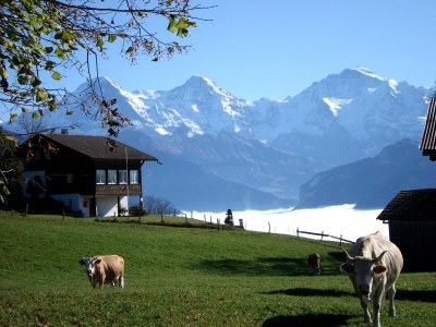 Holiday apartment Haus am See II - Environment photo 27