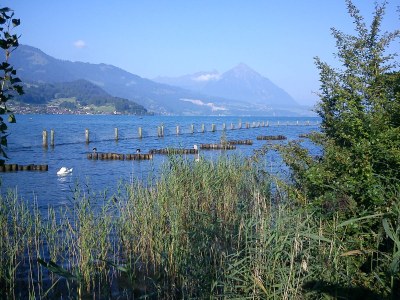 Holiday apartment Haus am See II - Environment photo 29