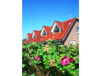 Holiday apartment "MeerSylt" Appartment - Family Gössing in List - Holiday apartment