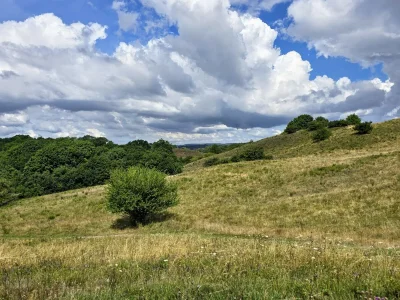 Holiday apartment Meerestraum - Environment photo 35