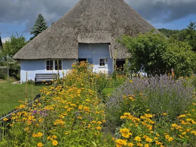 Holiday apartment Meerestraum - Environment photo 36