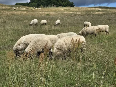 Holiday apartment Meerestraum - Environment photo 37