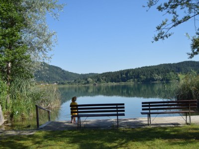 Holiday apartment 1 Dissinger Rosi " Valerie " - Outdoor photo 6