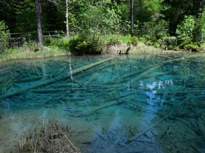 Holiday apartment 1 Dissinger Rosi " Valerie " - Environment photo 18