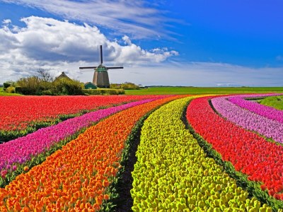 Apartment Atelier near the water-side - Outdoor photo 10