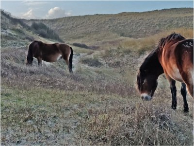Apartment Atelier near the water-side - Environment photo 25