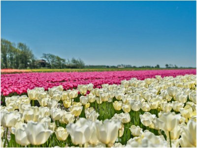 Apartment Atelier near the water-side - Environment photo 32