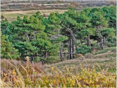 Apartment Atelier near the water-side - Environment photo 37