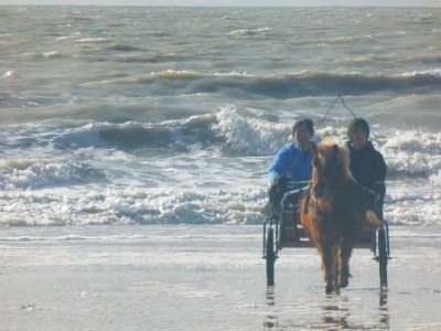 Holiday house the beach house - Environment photo 17