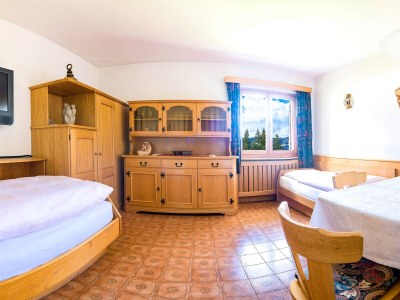 Holiday apartment Forelle "Large garden-flat" - Features photo 15