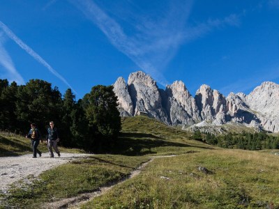 Holiday apartment Forelle "Large garden-flat" - Environment photo 23