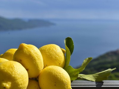 Holiday apartment La Barrique - Features photo 52