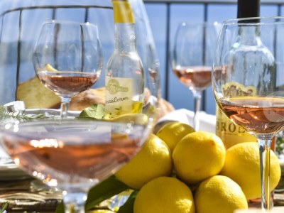 Holiday apartment La Barrique - Features photo 53