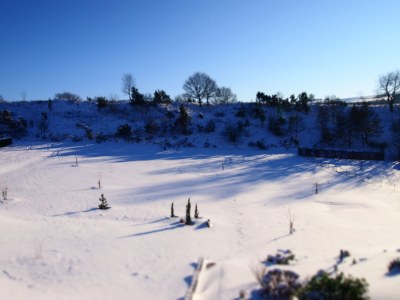 Holiday apartment am Heidehimmel - Outdoor photo 9