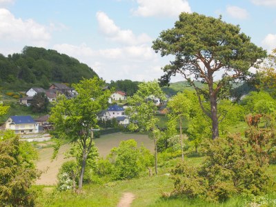 Holiday apartment am Heidehimmel - Environment photo 27