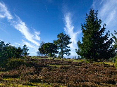 Holiday apartment am Heidehimmel - Environment photo 31