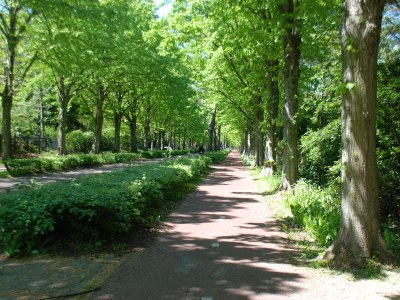 Holiday apartment Hermitage - Environment photo 20