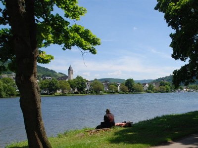 Holiday apartment "Sollig" - Haus am Königsberg - Environment photo 21
