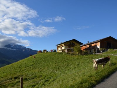 Holiday apartment HochkÃ¶nigblick at Bichlgut - Outdoor photo 3