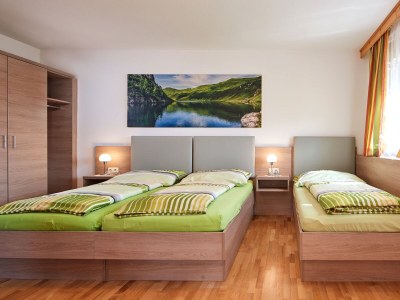 Holiday apartment HochkÃ¶nigblick at Bichlgut - Features photo 9