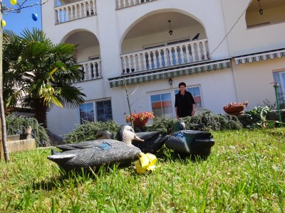 Holiday apartment Matic - Outdoor photo 7