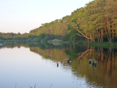 Holiday apartment Wolkenglanz - Environment photo 22