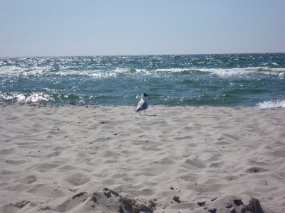 Holiday apartment Wolkenglanz - Environment photo 24