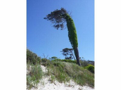 Holiday apartment Wolkenglanz - Environment photo 30