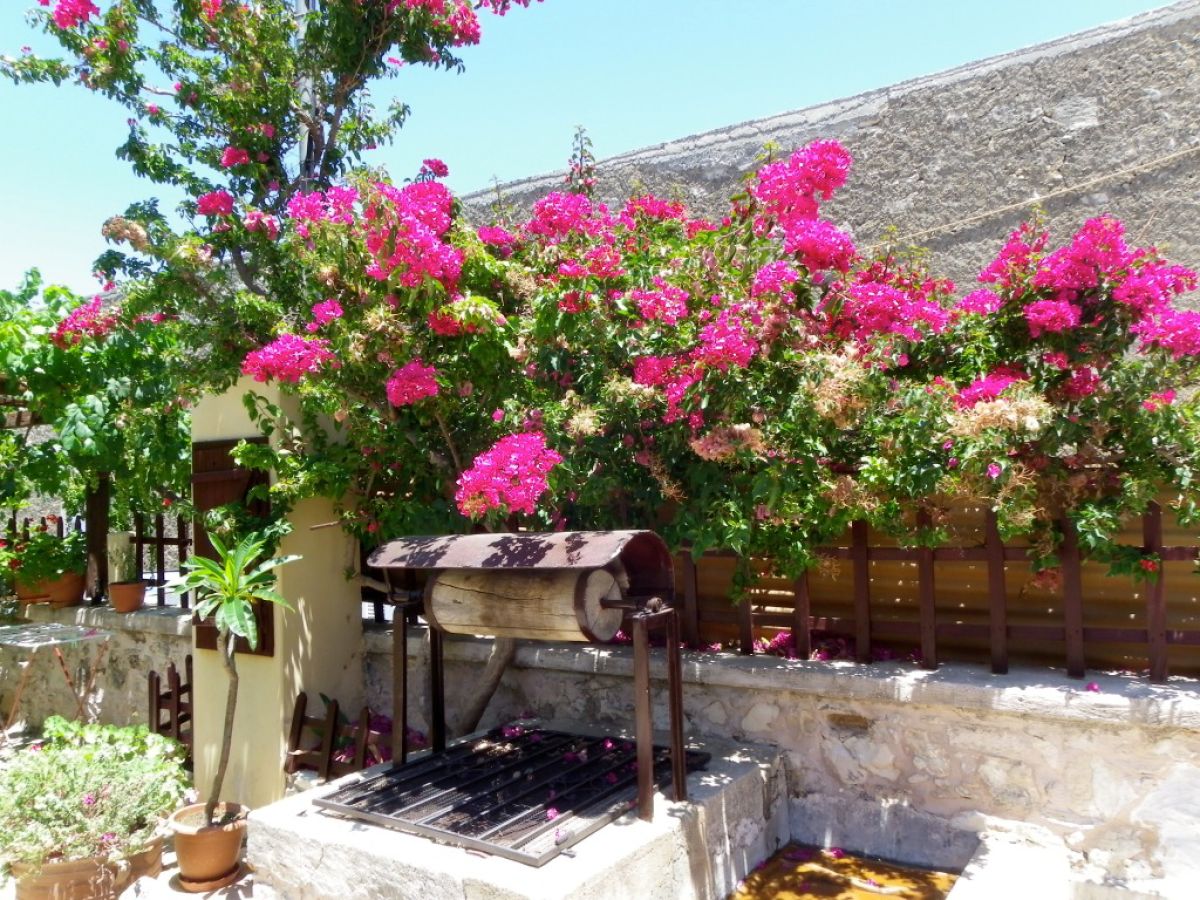 Holiday apartment Horiatiko spiti 2 - Outdoor photo 4