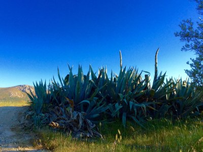 Holiday apartment Horiatiko spiti 2 - Outdoor photo 12