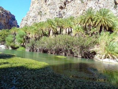 Holiday apartment Horiatiko spiti 2 - Outdoor photo 27