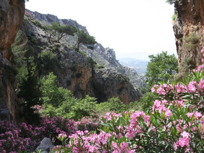 Holiday apartment Horiatiko spiti 2 - Environment photo 39