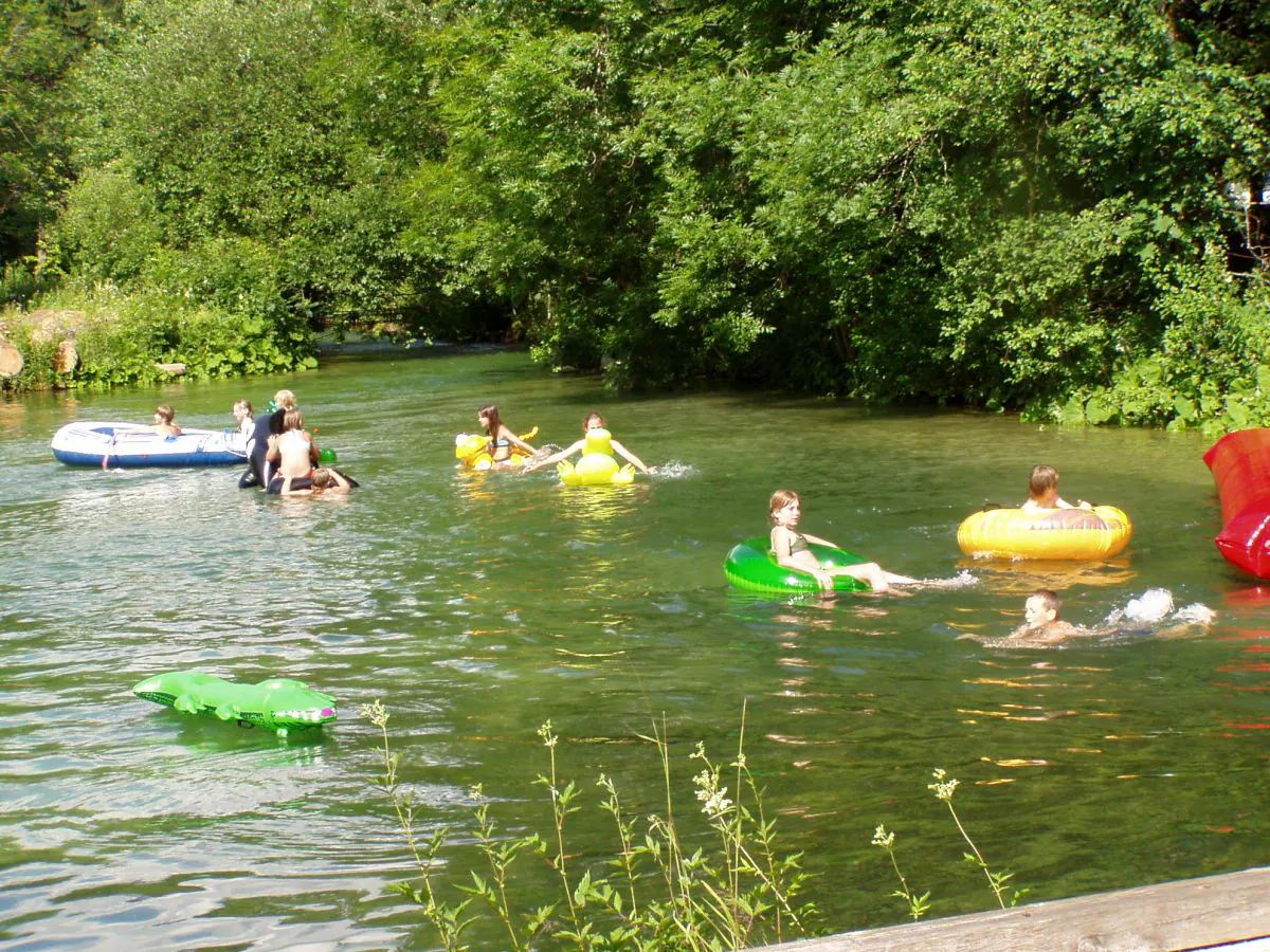 Holiday apartment The 'Traunmühle' - Outdoor photo 5