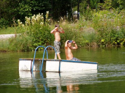 Holiday apartment The 'Traunmühle' - Outdoor photo 7
