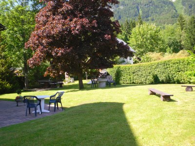 Holiday apartment The 'Traunmühle' - Outdoor photo 11