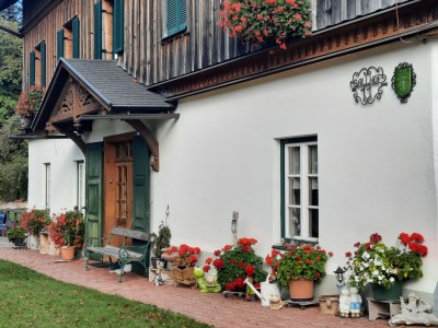 Holiday apartment The 'Traunmühle' - Outdoor photo 12