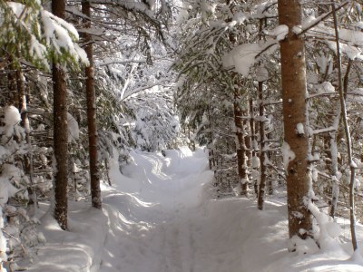 Holiday apartment The 'Traunmühle' - Outdoor photo 20